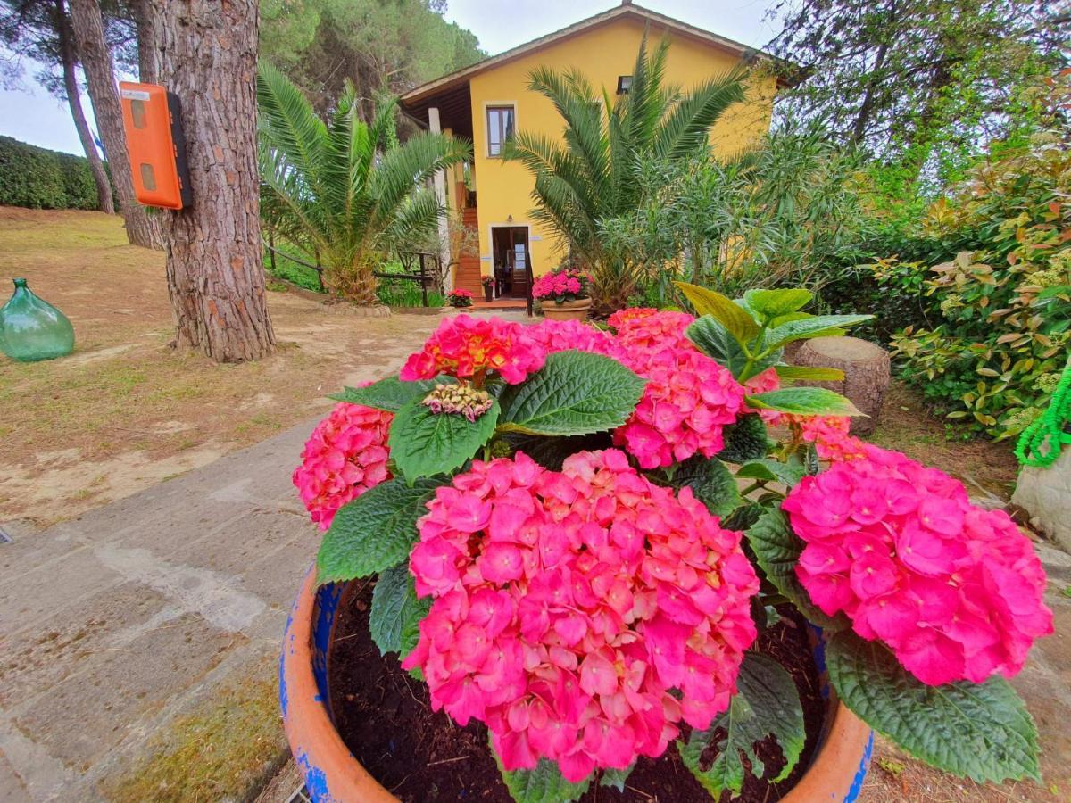 Toscana Holiday Village Montopoli in Val dʼArno Buitenkant foto