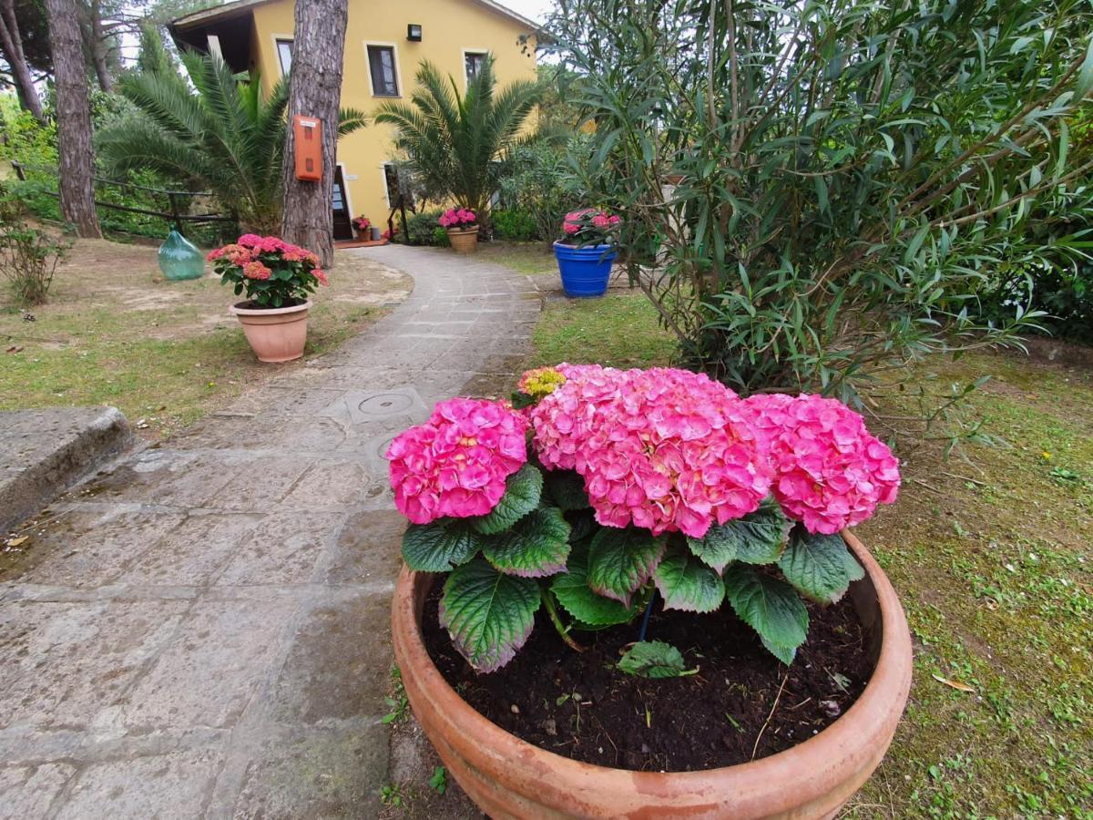 Toscana Holiday Village Montopoli in Val dʼArno Buitenkant foto